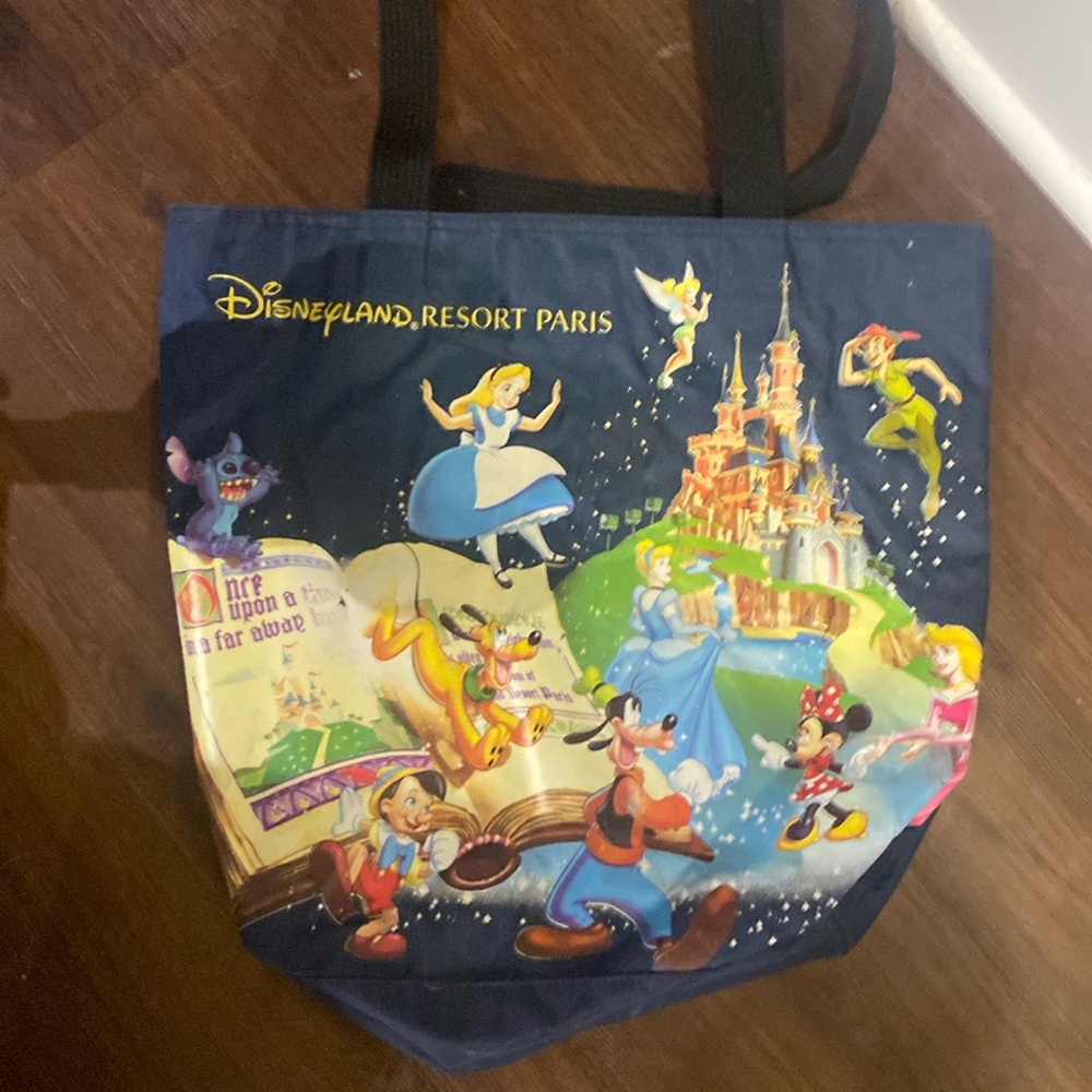 Disneyland Paris Bag